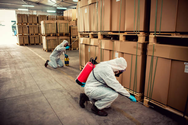 Best Affordable Exterminators  in Severn, MD