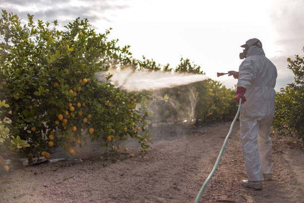 Best Pest Control Near Me  in Severn, MD
