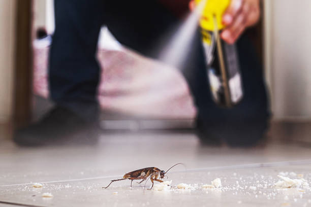 Best Flea Control Services  in Severn, MD