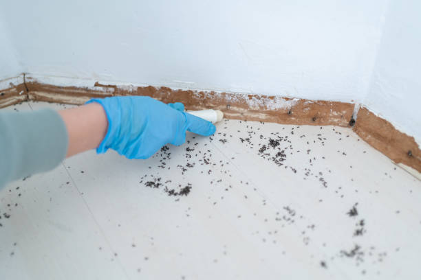 Best Best Pest Control Companies  in Severn, MD